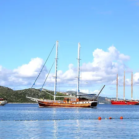 شقة Divine Seaview *