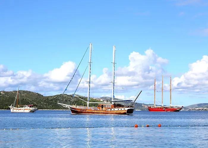 Appartement Divine Seaview *